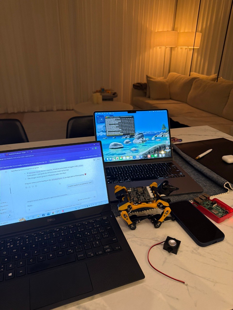 Bugs and the development workstation