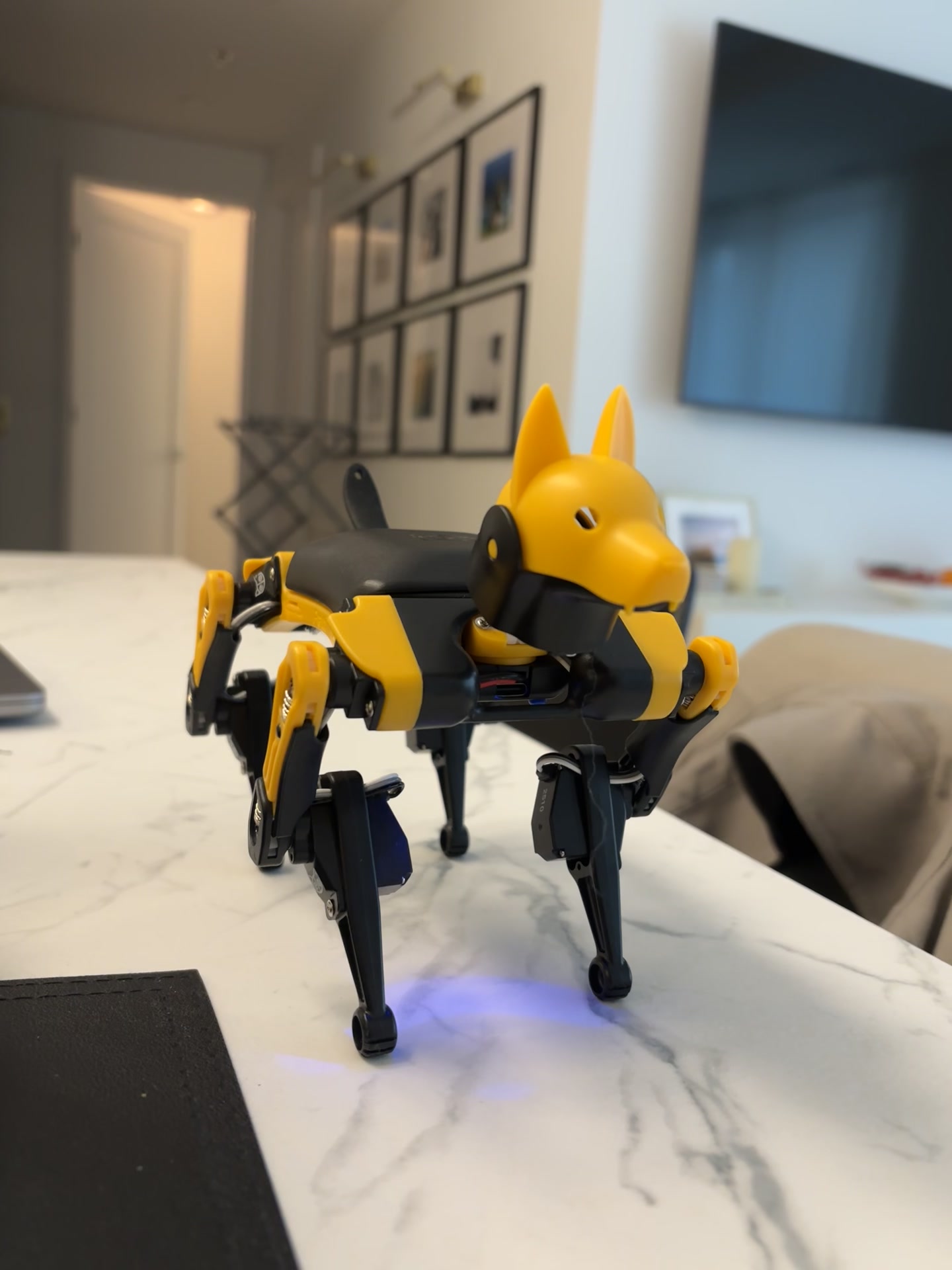 Bugs mid-trick on the marble counter